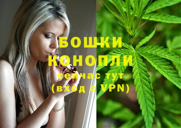 mdpv Михайловск