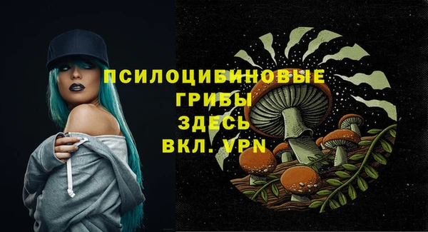 mdpv Михайловск