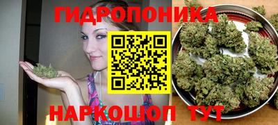 Альфа ПВП Донской