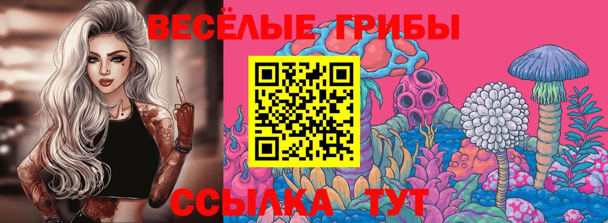 Коломна  Псилоцибиновые грибы прущие грибы  Вход с VPN 