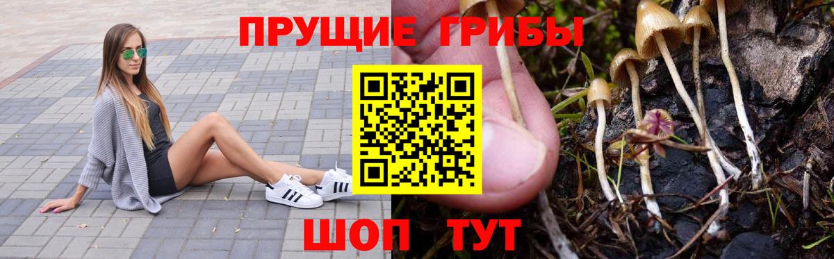 Галлюциногенные грибы Cubensis Коломна
