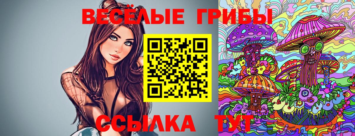 LSD-25  Вход с VPN  A-PVP СК кристаллы  Гашиш  ГАШ  Коломна  МЕФ кристаллы  COCAIN  КЕТАМИН 